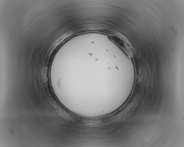 X0000114190786200911061402