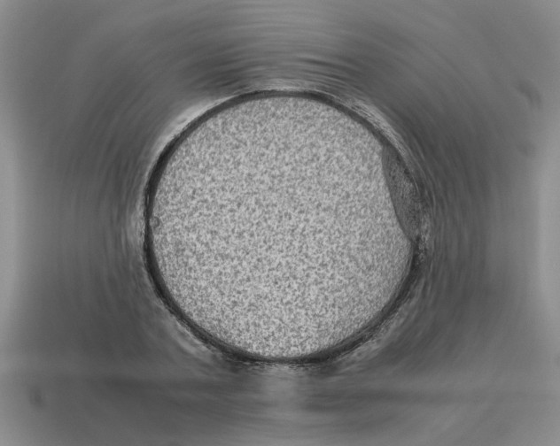 X0000114190787200911061402