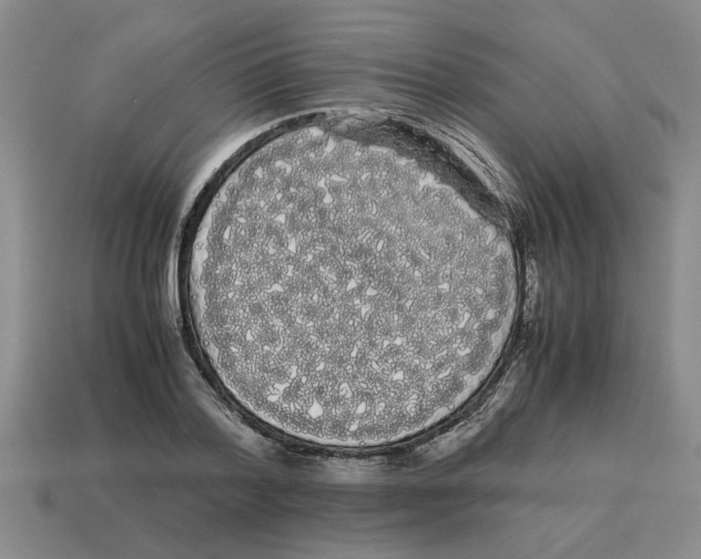 X0000114190788200911061402