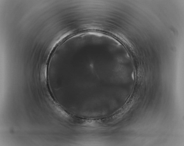 X0000114190790200911061402