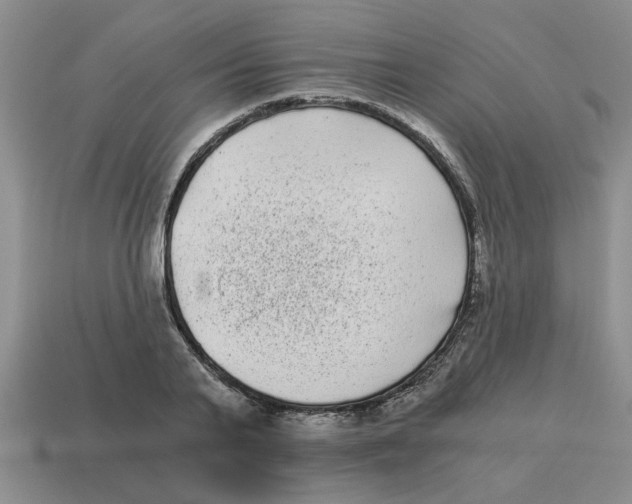 X0000114190791200911061402