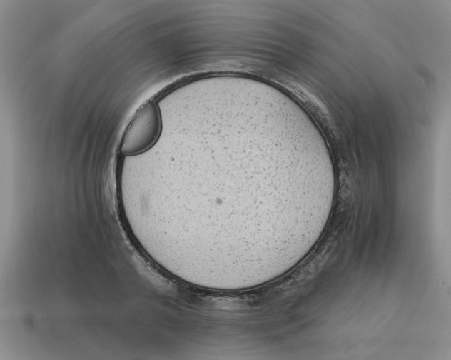 X0000114190792200911061402