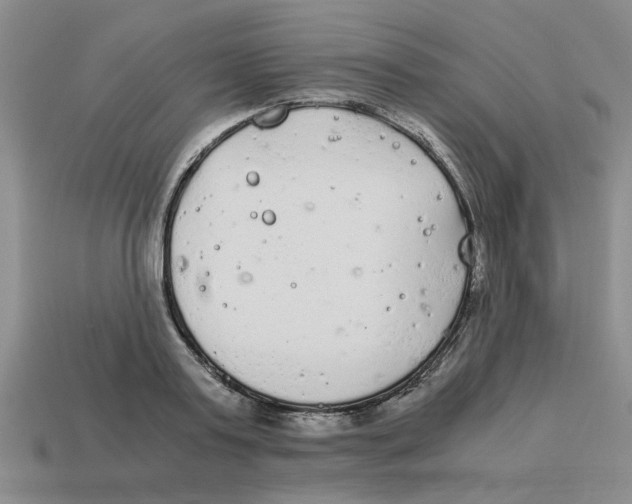 X0000114190795200911061402