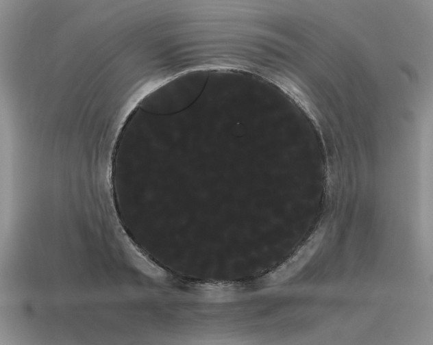 X0000114190797200911061402