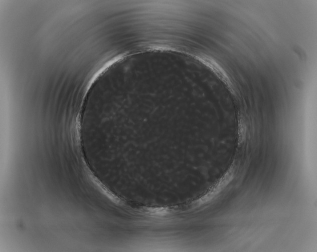 X0000114190798200911061402