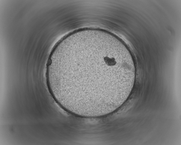 X0000114190799200911061402