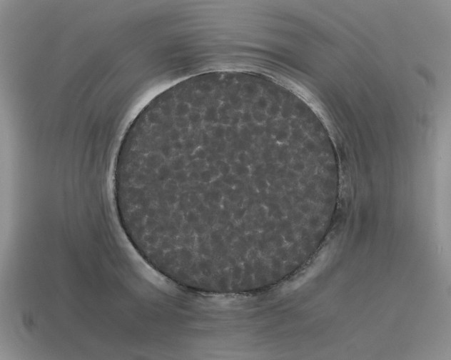 X0000114190803200911061402