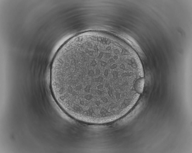 X0000114190804200911061402