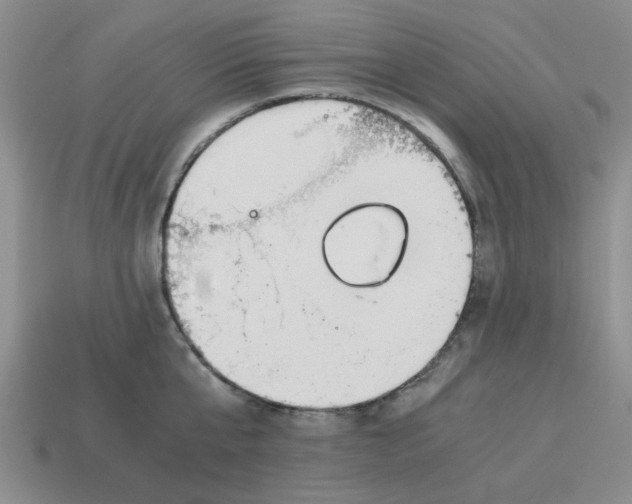 X0000114190807200911061402