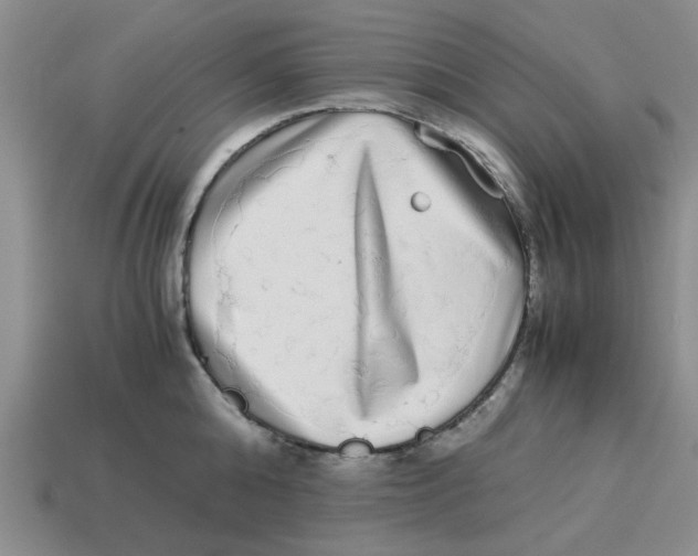 X0000114190808200911061402