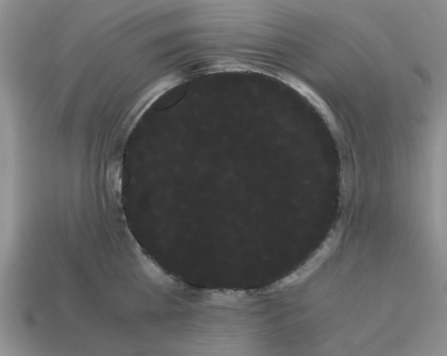 X0000114190809200911061402