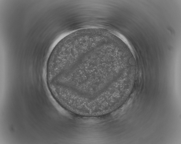 X0000114190811200911061402