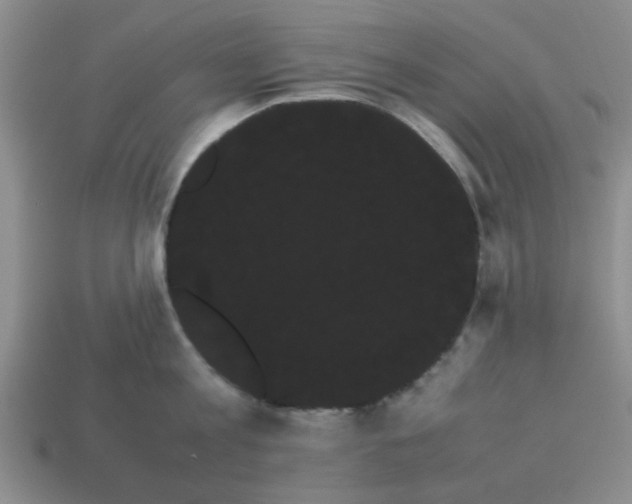 X0000114190813200911061401