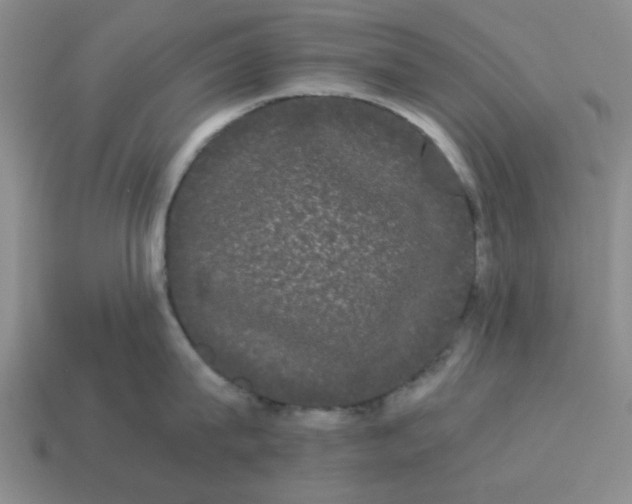 X0000114190815200911061401