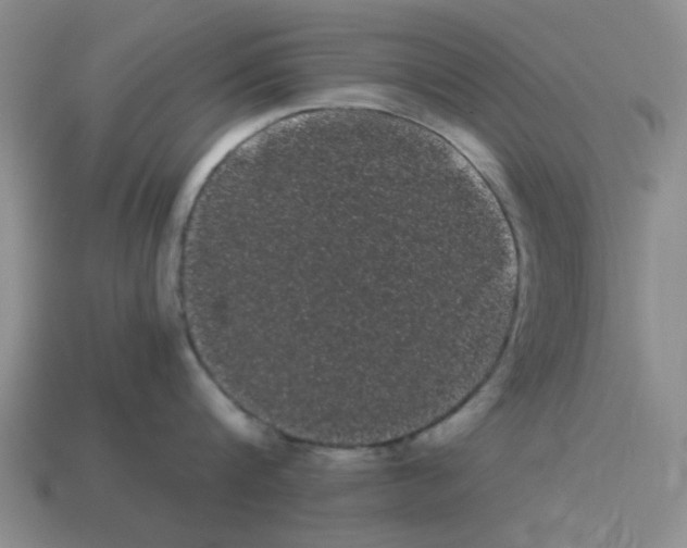 X0000114190816200911061401