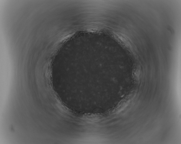 X0000114190817200911061401