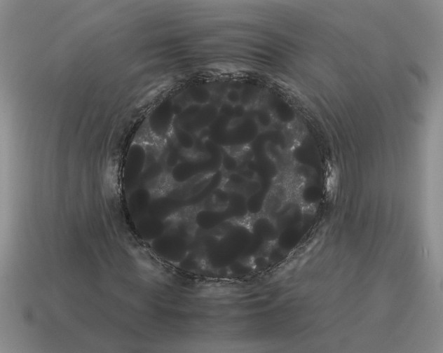 X0000114190819200911061401