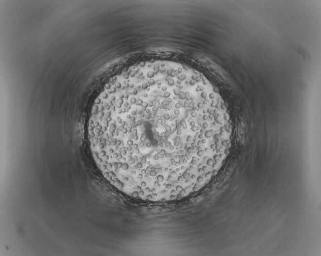 X0000114190821200911061401