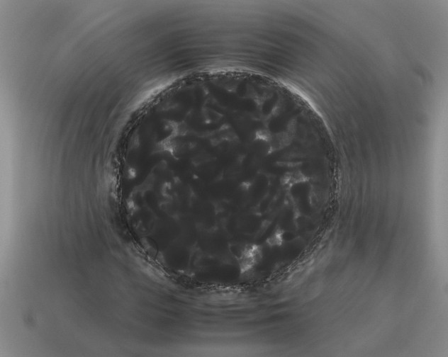 X0000114190823200911061401