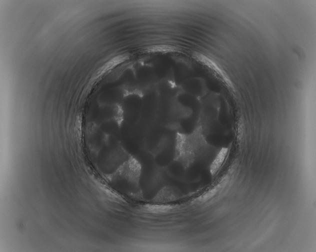 X0000114190825200911061401