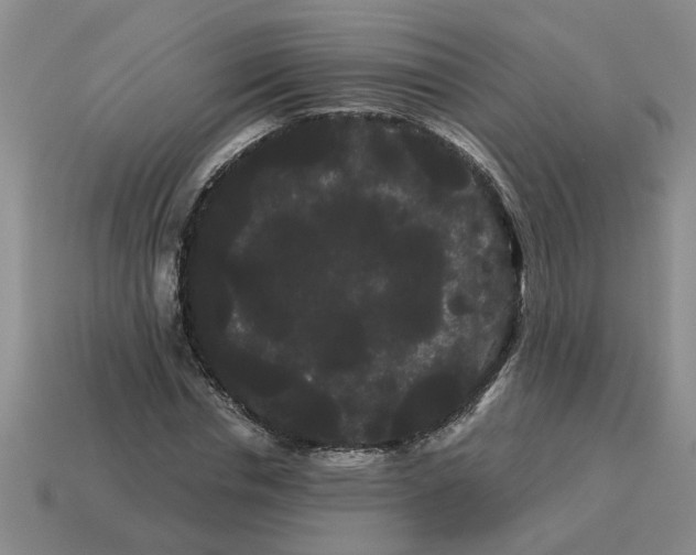 X0000114190826200911061401