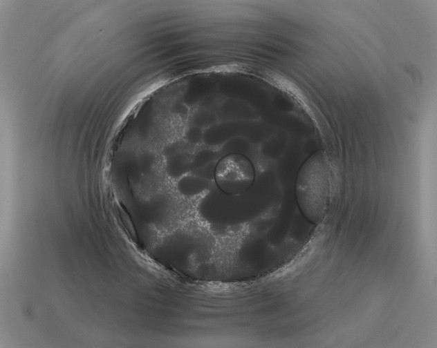 X0000114190827200911061401