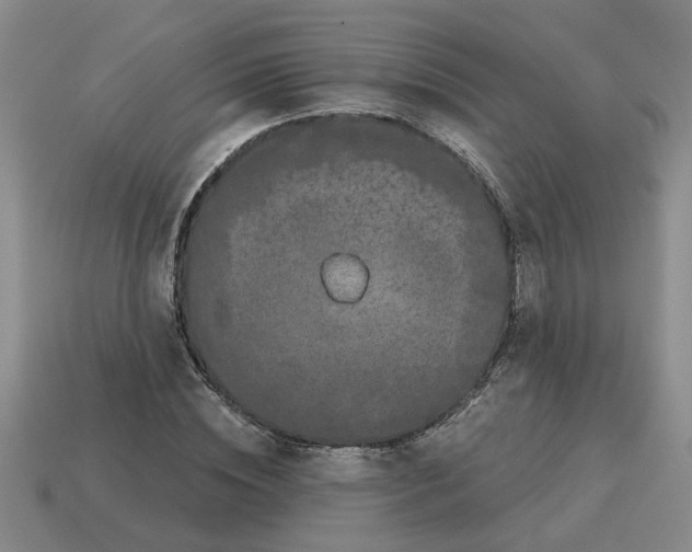 X0000114190828200911061401