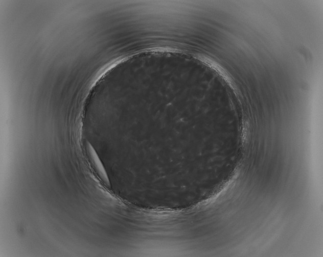 X0000114190829200911061401