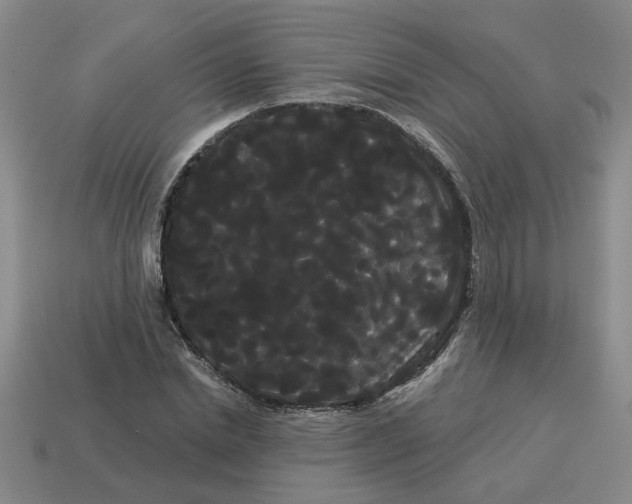 X0000114190830200911061401