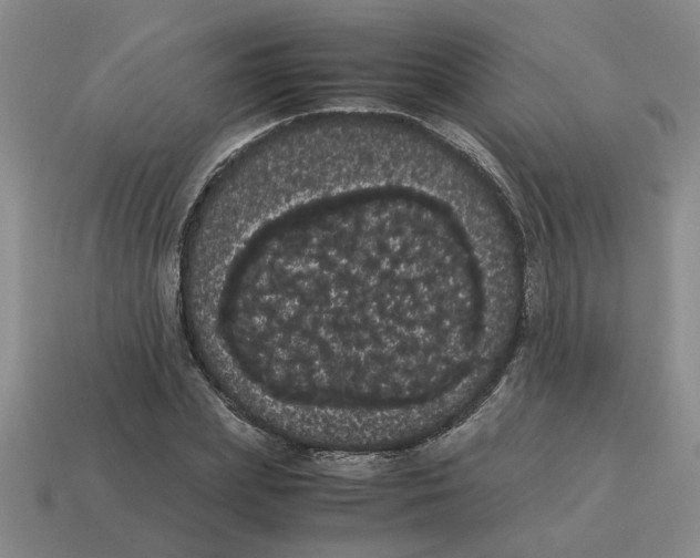 X0000114190831200911061401