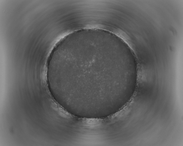 X0000114190832200911061401