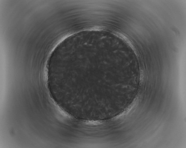 X0000114190835200911061401