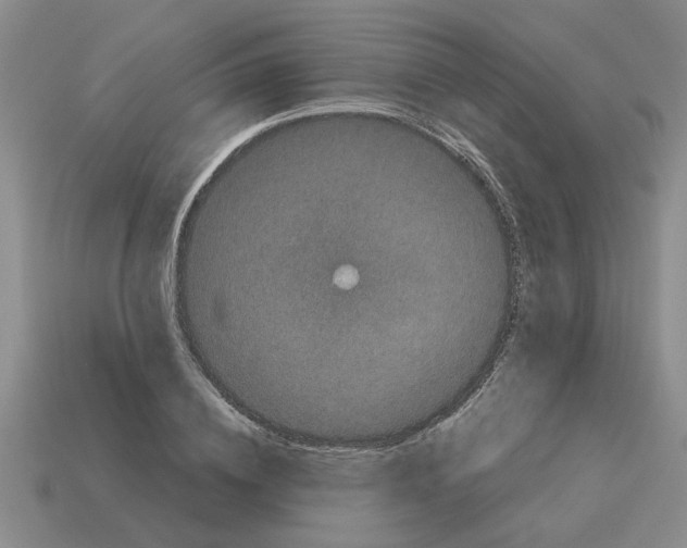 X0000114190836200911061401