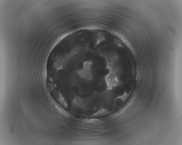 X0000114190837200911061401