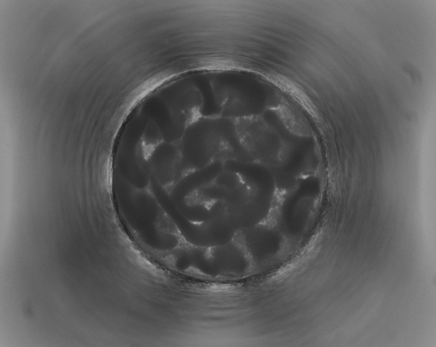 X0000114190839200911061401