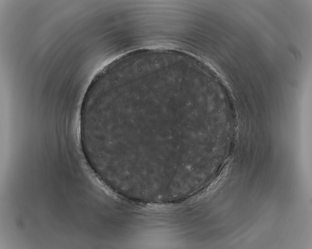 X0000114190840200911061401