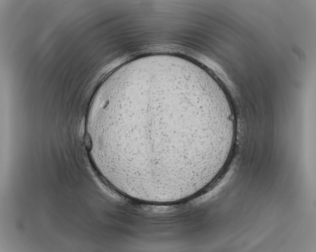 X0000114190841200911061401