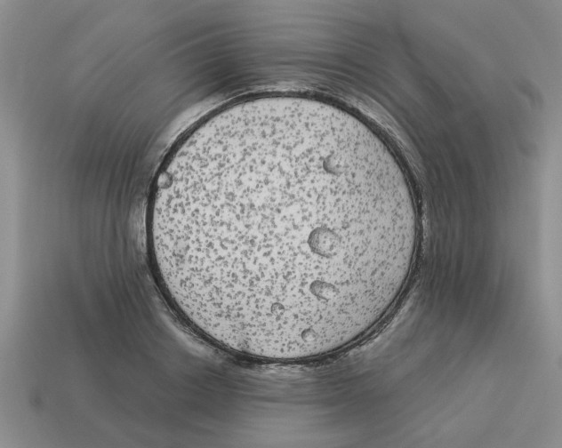 X0000114190842200911061401