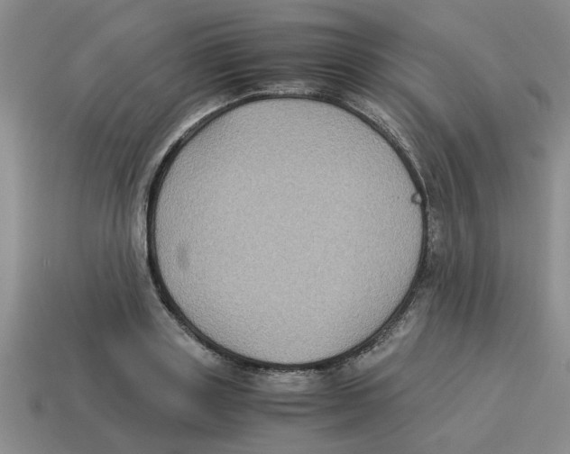 X0000114190843200911061401