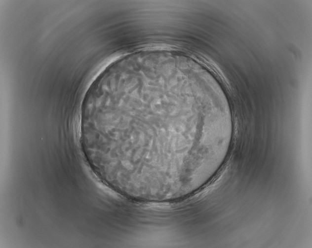 X0000114190844200911061401