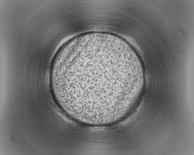 X0000114190846200911061401