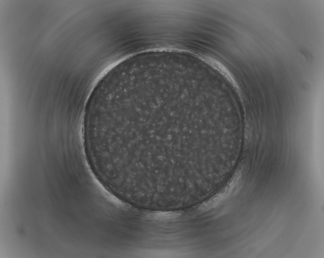 X0000114190847200911061401