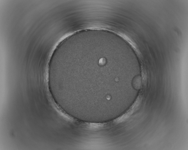 X0000114190848200911061401