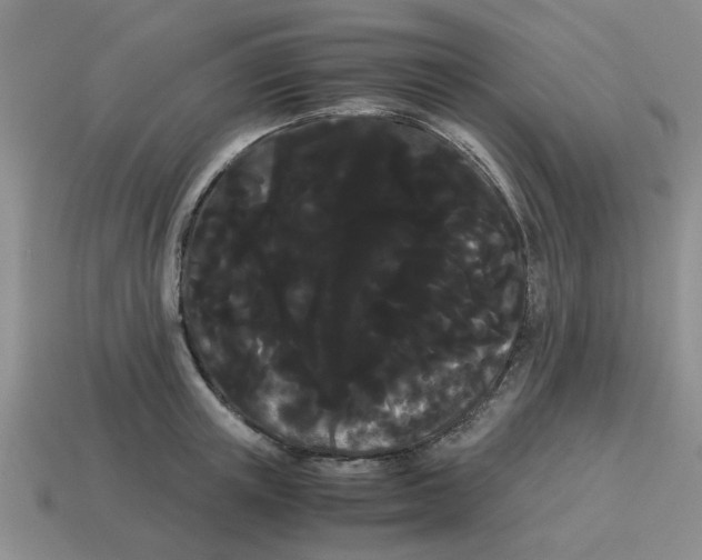 X0000114190851200911061401