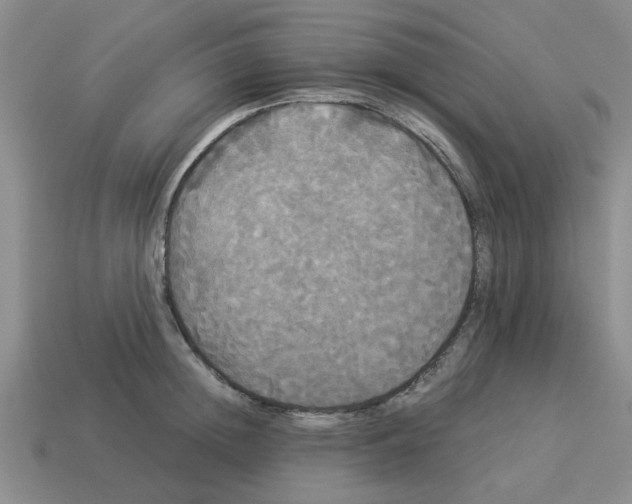 X0000114190852200911061401