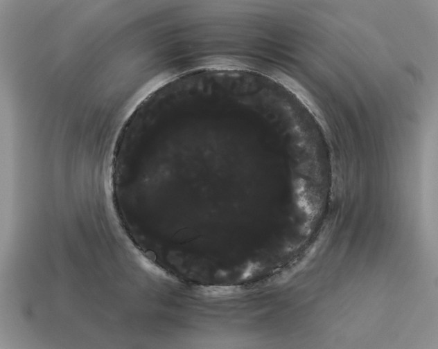 X0000114190853200911061401