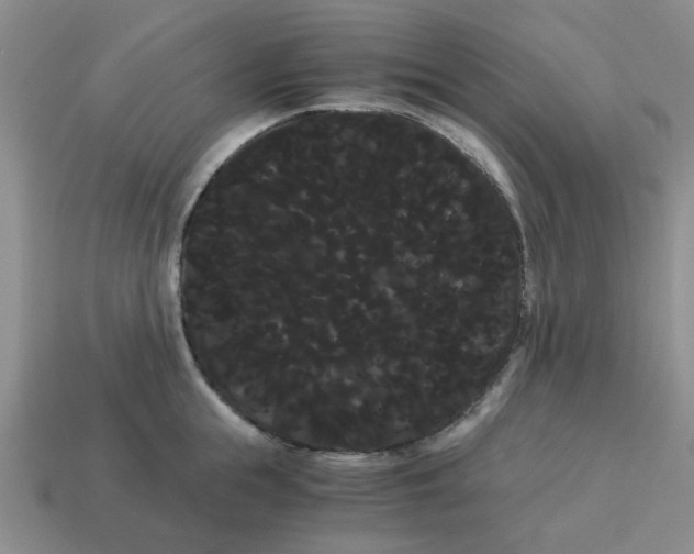 X0000114190855200911061401