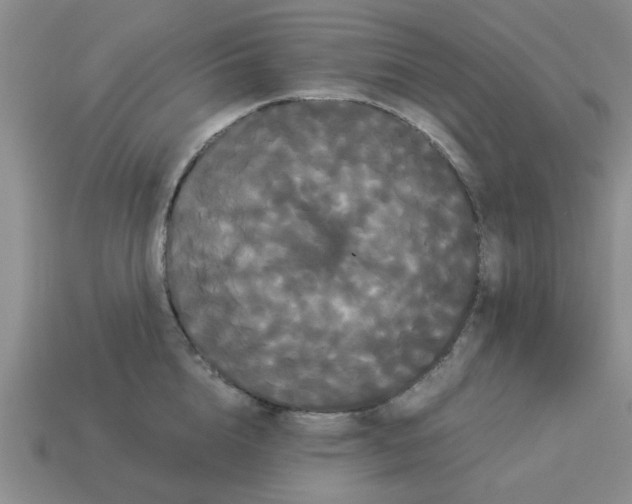 X0000114190856200911061401