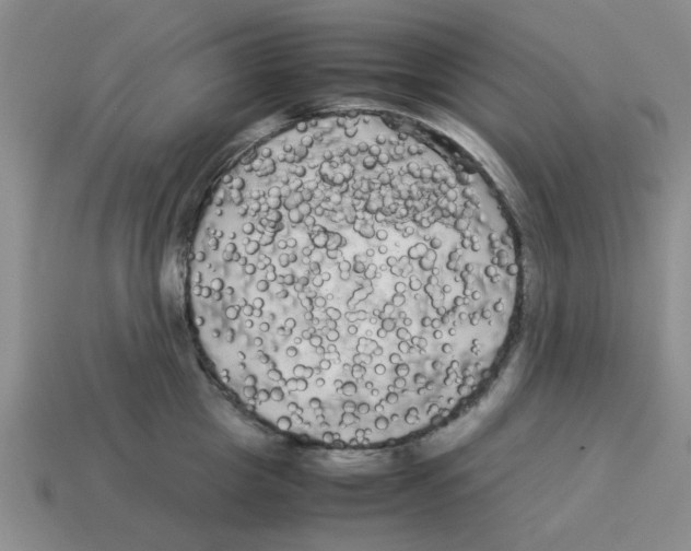 X0000114190857200911061401