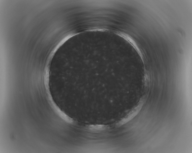 X0000114190859200911061401